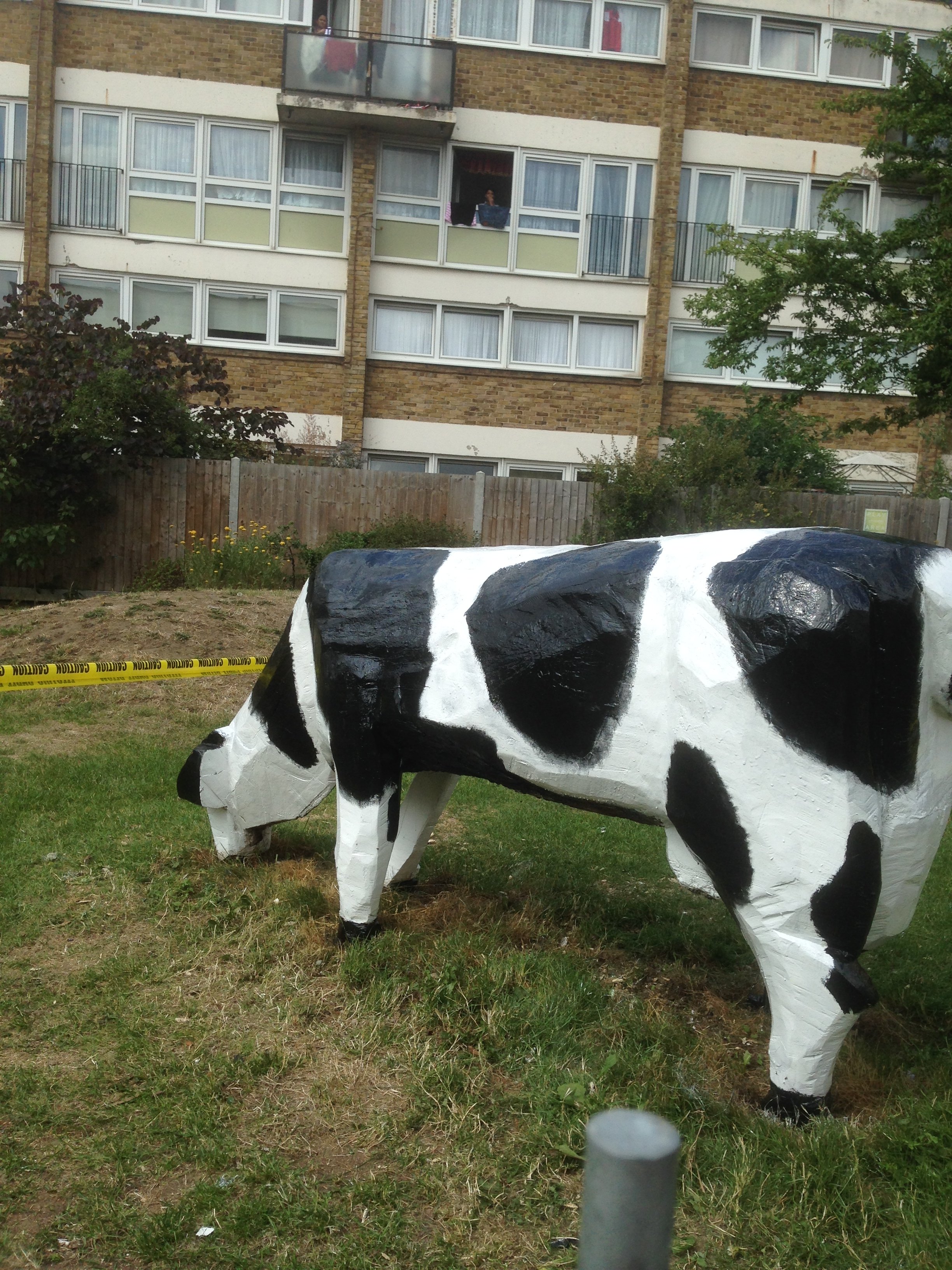Kerry-gold-cow